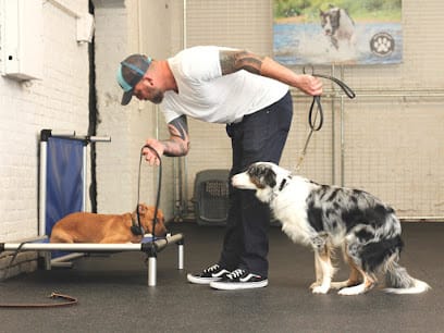 Evolution Canine featured image for this Dog Trainer