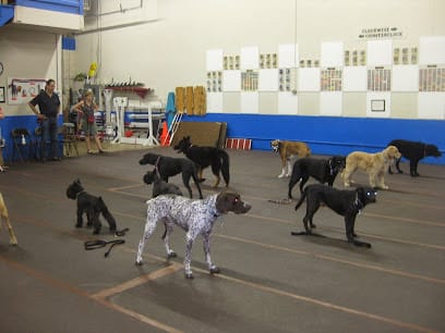 Dog Sense Unlimited featured image for this Dog Trainer