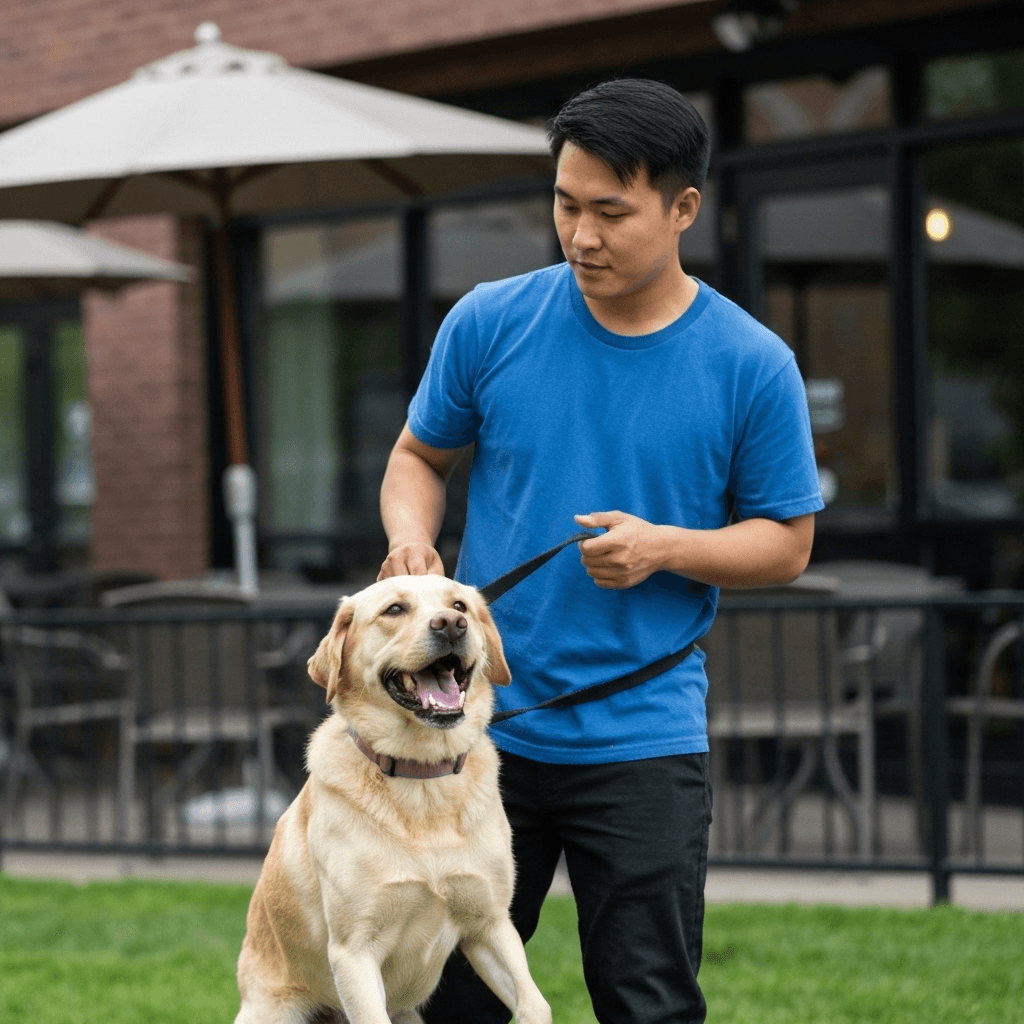 Dog Training In Wappingers Falls Ny