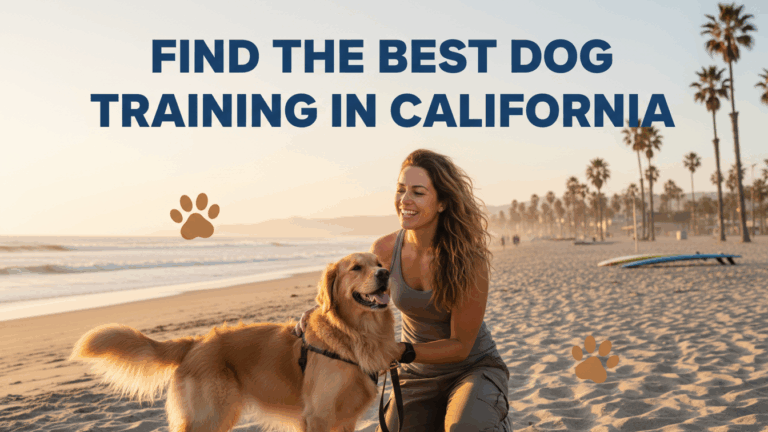 find the best Dog Training in California