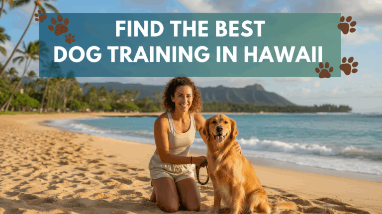 find the best Dog Training in Hawaii