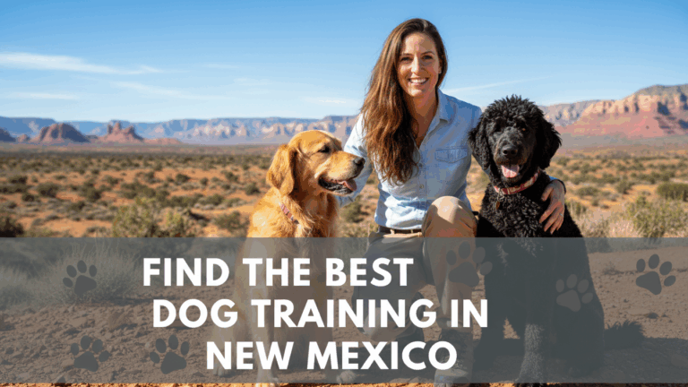 find the best Dog Training in New Mexico